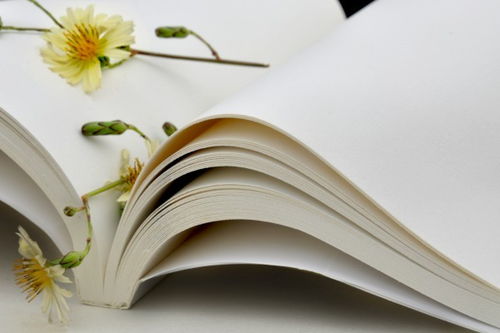 文藝視角下的長征精神學(xué)習(xí)心得